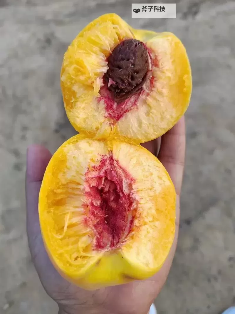 水蜜桃激情:夏日甜蜜诱惑的呢喃图1