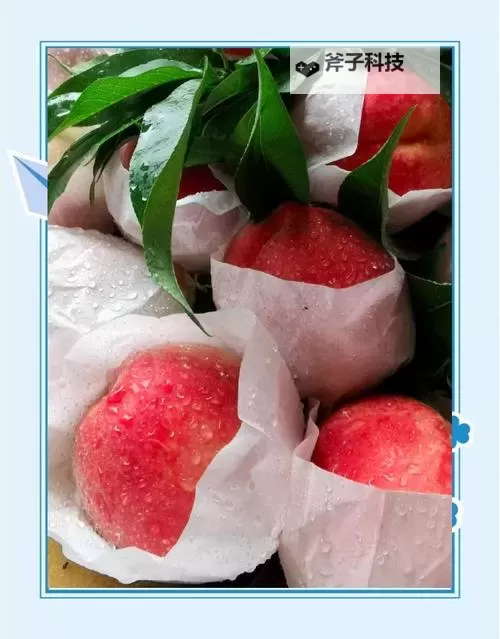 水蜜桃激情:夏日甜蜜诱惑的呢喃图2