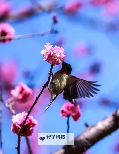 碎片时代的光影诱惑:ww w5g天天看爽 与都市观看欲的诗性解读图1