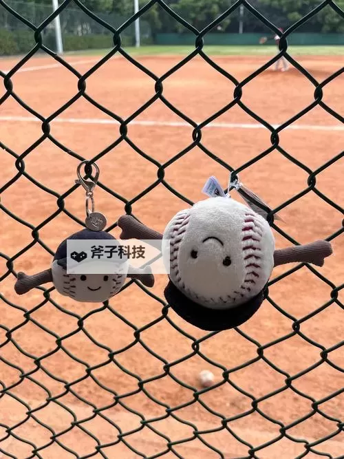 运动员的玩物：光环背后的裂痕图1